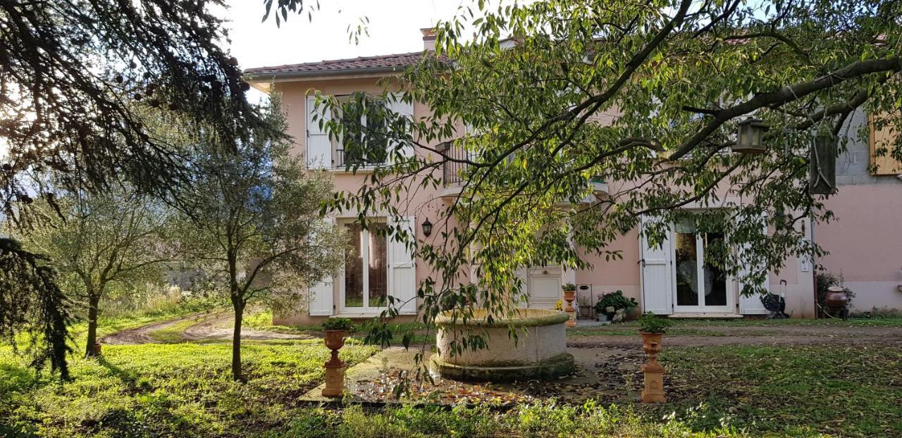 L'Ecrin De Vert Saint-Alban-du-Rhone Экстерьер фото