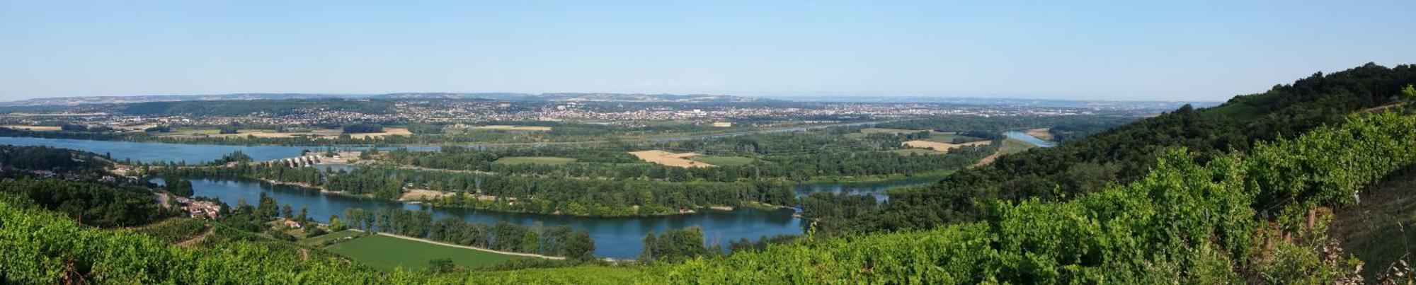 L'Ecrin De Vert Saint-Alban-du-Rhone Номер фото